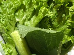 -坦坦大炉·韩式烤肉(望京店)