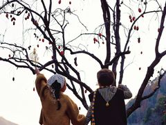-林坑古村落