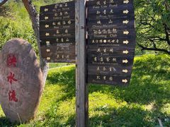 -金龙寺国家森林公园