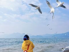 -抚仙湖禄充风景区