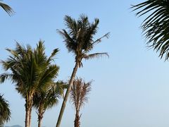 -玫瑰海岸文化旅游度假区