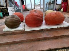 -祥源·阜阳生态乐园