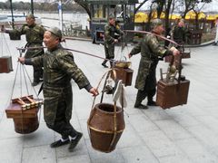 -溱湖国家湿地公园