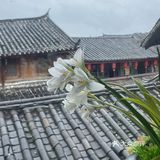 暖心汤锅正当时