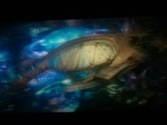 -武汉华夏国际影城(鲁广店)