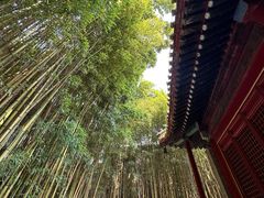 -潭柘寺景区