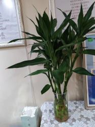 -Dr.林醫生产后修复·超级店(南京江宁同曦店)