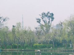 -东湖景区