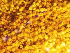 -万达影城(潍坊万达广场IMAX店)