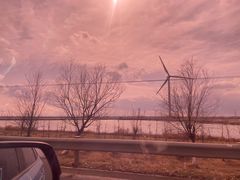 -黄海国家森林公园