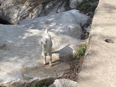 -抱龙峪