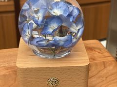 -二酉书店TOYOU BOOKS