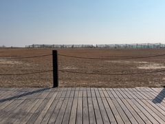 -盐城丹顶鹤湿地生态旅游区
