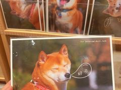 -猫的天空之城概念书店(印象城购物中心店)