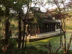 -盆景园(扬州大运河文化旅游度假区)