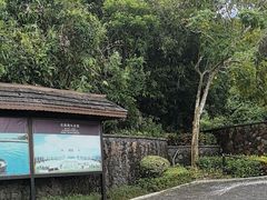 -三亚亚龙湾人间天堂鸟巢度假村