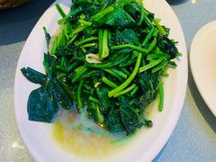 -红果树(江光店)
