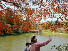 -田野绿世界