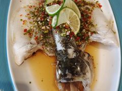 游水鲈鱼-新加坡珍宝海鲜JUMBO Seafood(西安skp店)