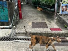 -大澳渔村及棚屋