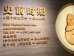 -辽宁省博物馆
