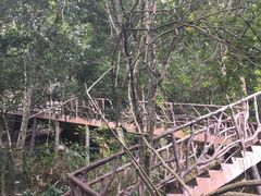 -海南热带雨林国家公园吊罗山景区