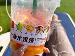 -秦皇岛乐岛海洋王国