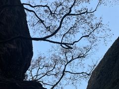 -宝石山