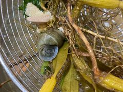 -合味土鸡火锅(中海世贸花园金碧庄店)