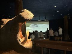 -天津自然博物馆