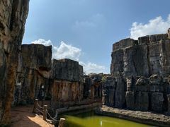 -海南热带野生动植物园