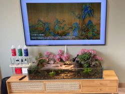 -Lumi露米·美甲美睫品质店