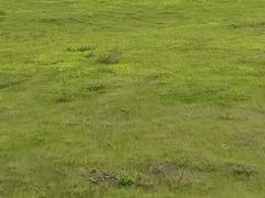 -杭州师范大学仓前新校区-体育场