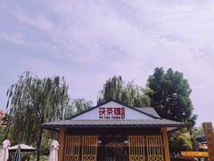 -茯茶镇