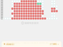-万达影城(汉街万达广场IMAX店)