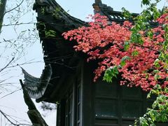 -木子山庄·安徽省老字号·中国炖锅宴