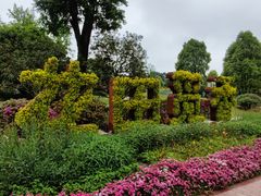 -铁山坪森林公园