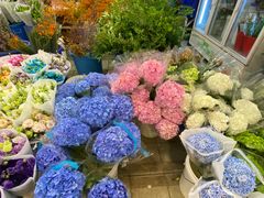 -双季花艺园艺市场(浦东店)