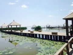 -哈素海