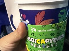 -瑞幸咖啡(东直门枢纽店)