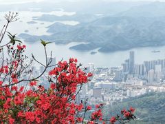 -梧桐山风景名胜区