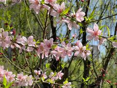 -木塔寺遗址生态公园