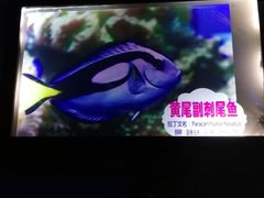 -烟台海昌鲸鲨海洋公园