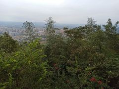 -神光山国家森林公园