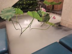 -香浙汇(望京店)