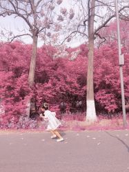 点击看大图 -爱儿美儿童摄影(奥森公园店)