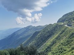 -武陵山森林公园