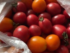 -江杨农产品批发市场