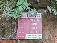 -雅安上里古镇