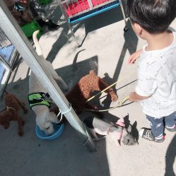 -萌宠亲子动物乐园(槐房万达店)